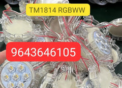 TM1814 RGBWW 50mm Pixel LED Coin 24V