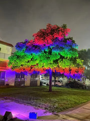 Outdoor Waterproof Rainbow RGB LED Spot Light Landscape Tree Lights